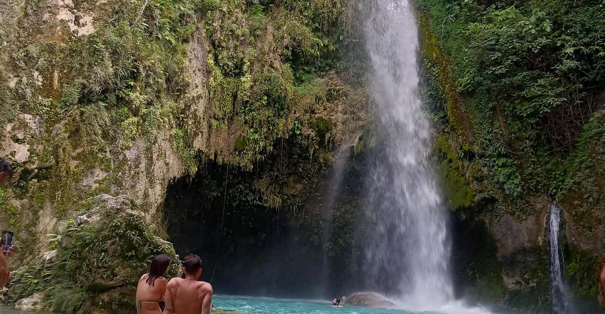 Cebu: Whaleshark Watching & Inambakan Falls - Overview and Pricing