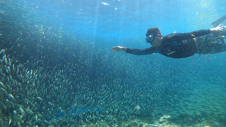 Cebu:Sardine Run Snorkeling, Mantayupan Falls & ATV Thrills - Tour Overview