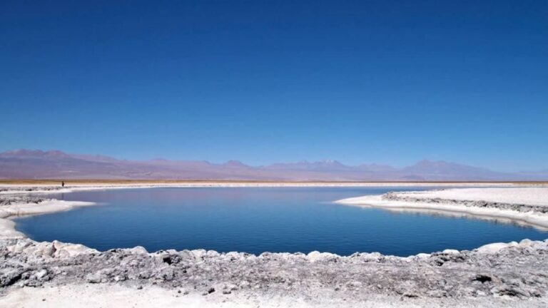 Cejar Lagoon, Tebenquiche Lagoon, and Ojos Del Salar