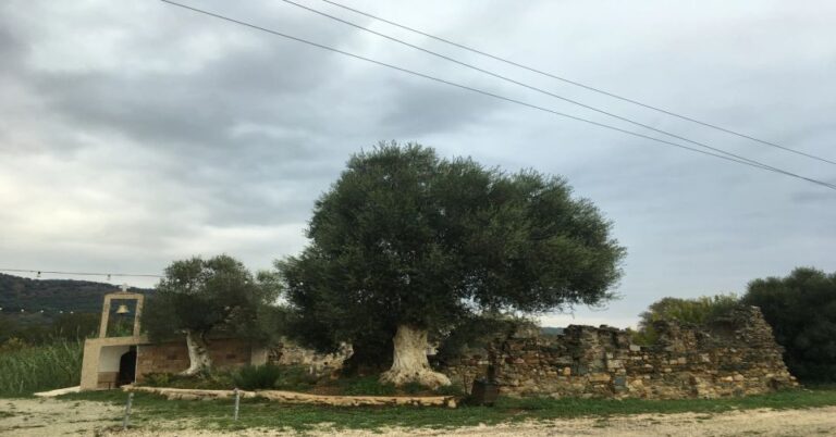 Chania Monasteries Private Tour: A Greek Orthodoxy Tribute