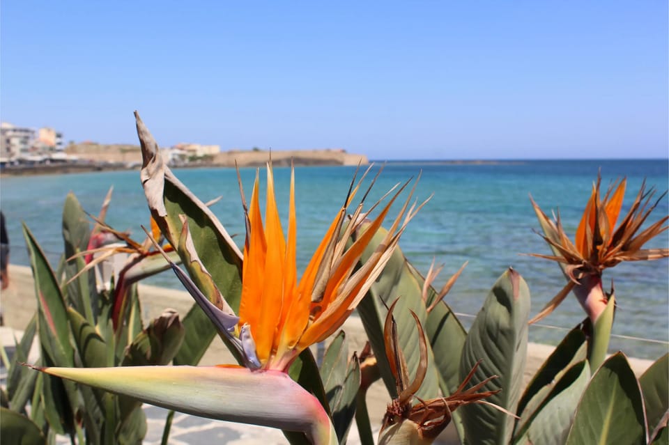 Chania Old Town Private Walking Food and Culture Guided Tour - Tour Overview and Details