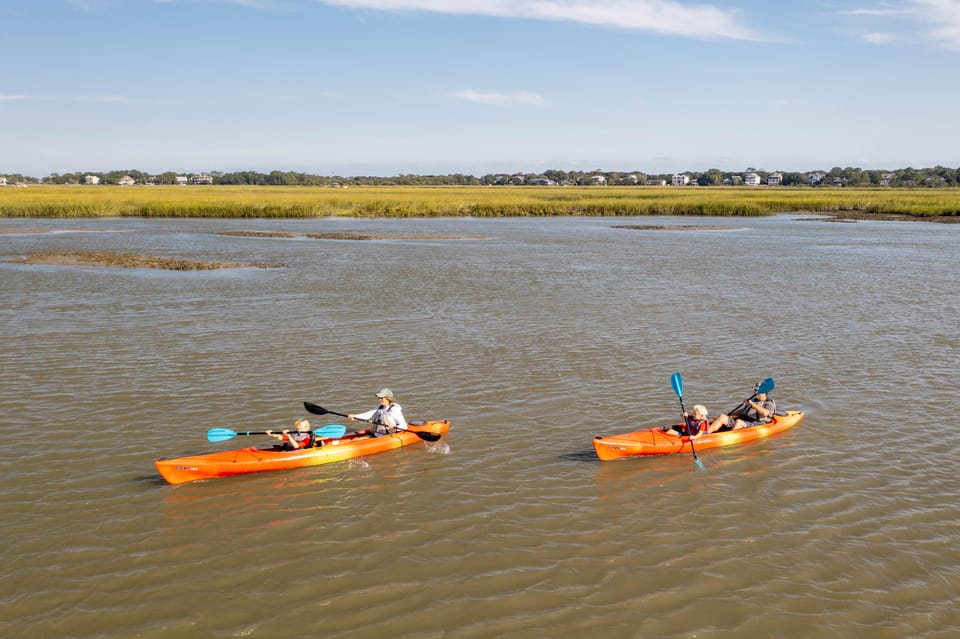 Charleston: Folly Beach Afternoon Kayak Dolphin Safari - Activity Overview