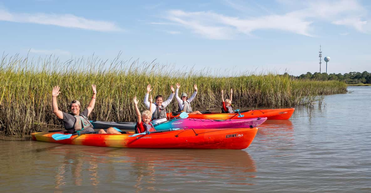 Charleston: Folly Beach Kayak Dolphin Safari - Activity Overview