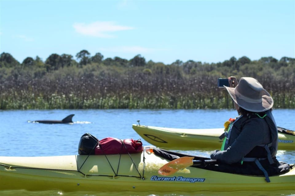 Charleston: Tandem or Single Kayak Tour With a Guide - Tour Overview and Pricing