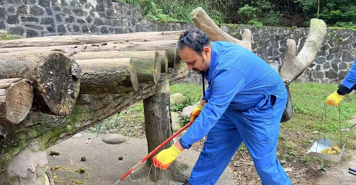 Chengdu: Dujiangyan Panda Base Volunteering Day Trip - Overview of the Experience