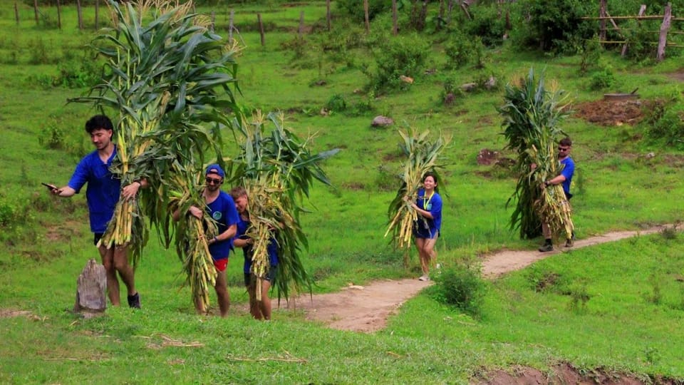 Chiang Mai: A Day in the Life of an Amateur Mahout - Activity Overview