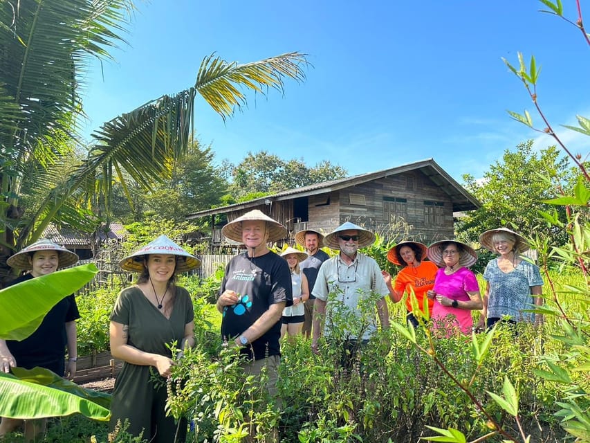 Chiang Mai: Asia Scenic Thai Cooking School - Overview and Experience