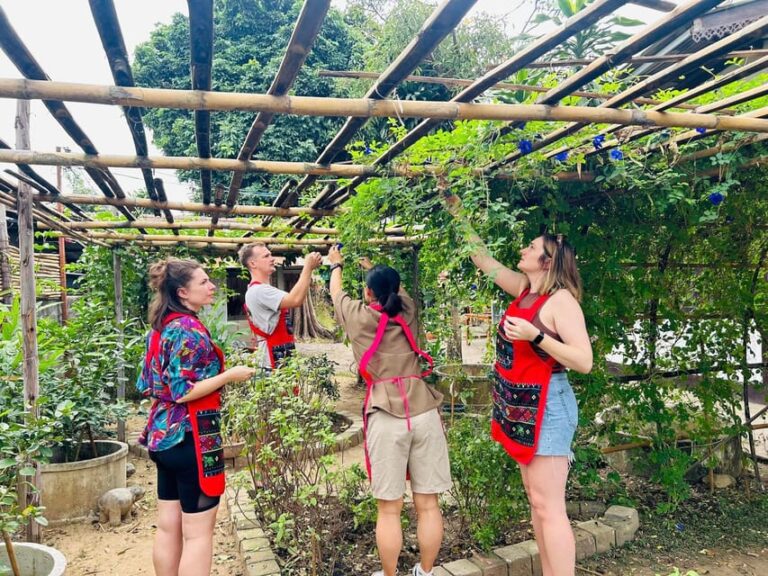 Chiang Mai: Cooking Class, Market and Thai Herbs Garden Tour