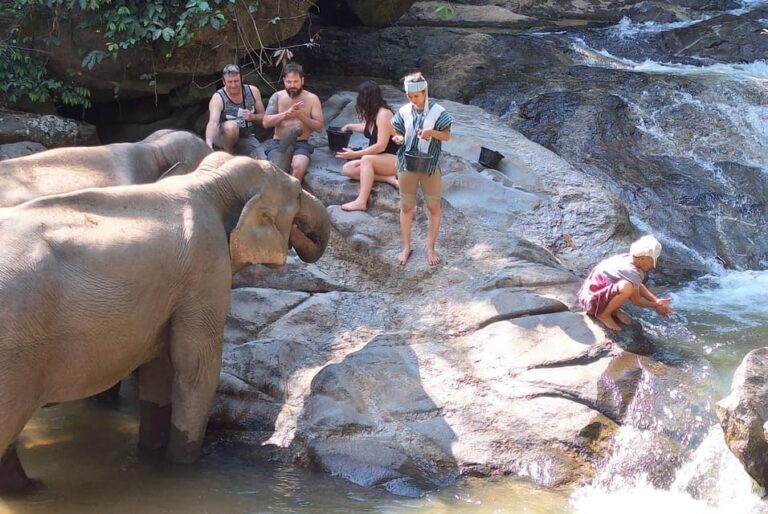 Chiang Mai: Cultural Immersion Among the Karen.