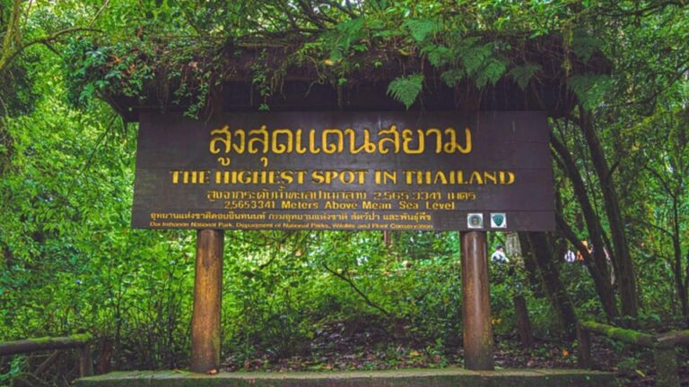 Chiang Mai: Doi Inthanon National Park and Pha Dok Siew Trek