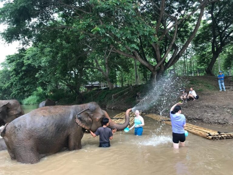 Chiang Mai: Elephant Tour, ATV, Rafting, Waterfall