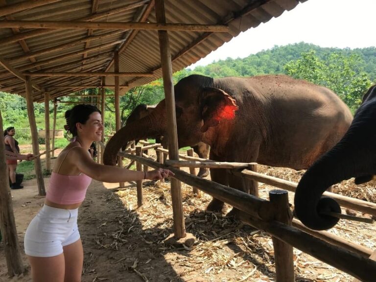 Chiang Mai: Elephant Tour, Ziplining, Rafting, Waterfall