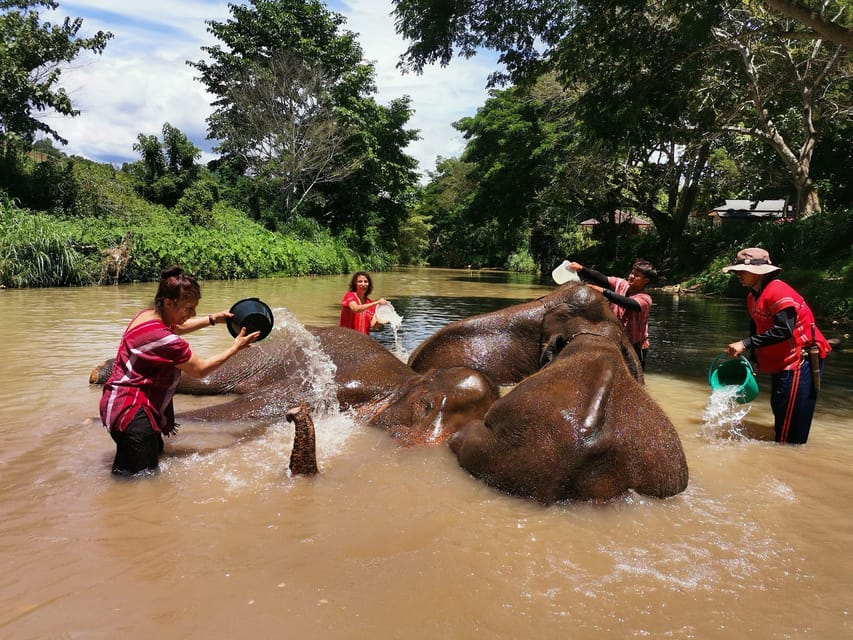 Chiang Mai: Full Day Elephant Eco Park Tour + Bamboo Rafting - Experience Highlights