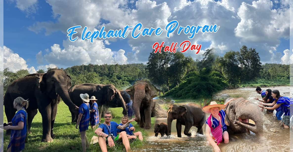 Chiang Mai: Half Day Elephant Care Program - Elephant Bathing and Feeding