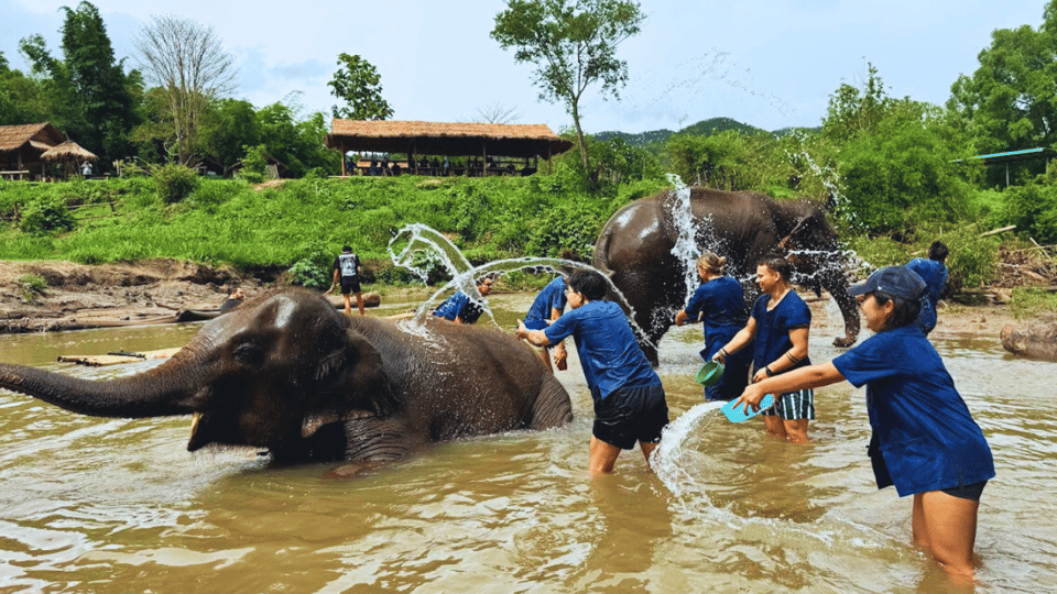 Chiang Mai: Half Day Living Green Elephant Sanctuary - Customer Reviews