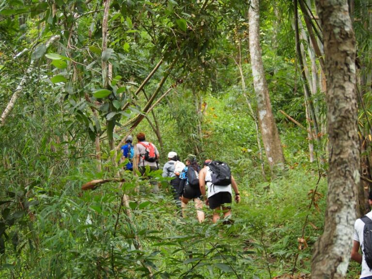 Chiang Mai: Hilltribe Hiking and Kayaking Day Trip