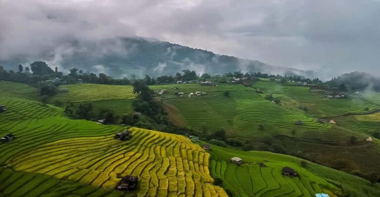 Chiang Mai : Pa Bong Piang Rice Terraces & Doi Inthanon