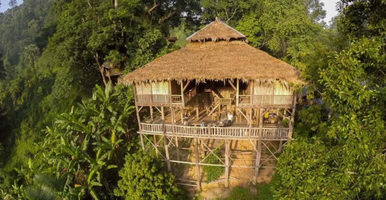 Chiang Mai: Tree House Stay & Jungle Zip-Lining