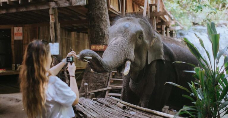 Chiang Mai: Two-day Temple of Elephants Sanctuary Tour