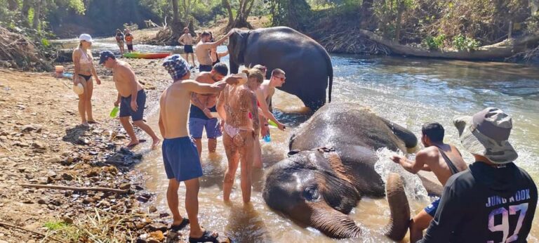 Chiangmai Mountain View Trekking Tour