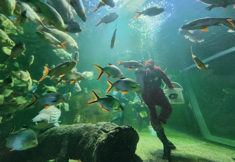 Chiangmai Zoo With Pick up Services - Experience Highlights