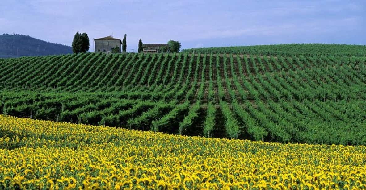 Chianti Half-Day Wine Tour Included Lunch and Tasting (5hrs) - Tour Overview