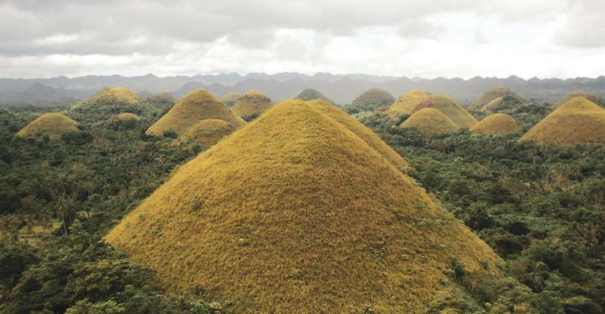 Chocolate Hills Bohol Private Tour - Tour Overview