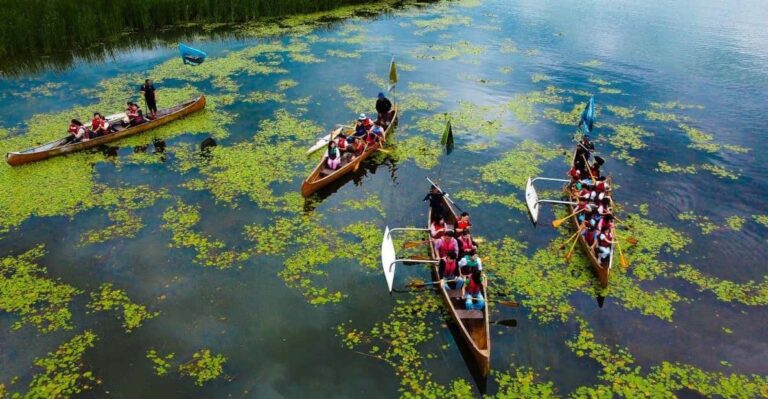 Chuncheon- Gangchon Rail Bike + BBQ + King Canoe