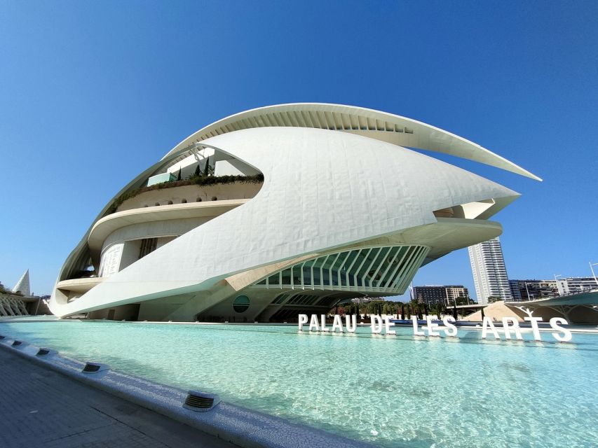 City of Arts and Sciences Private Bike Tour - Tour Overview