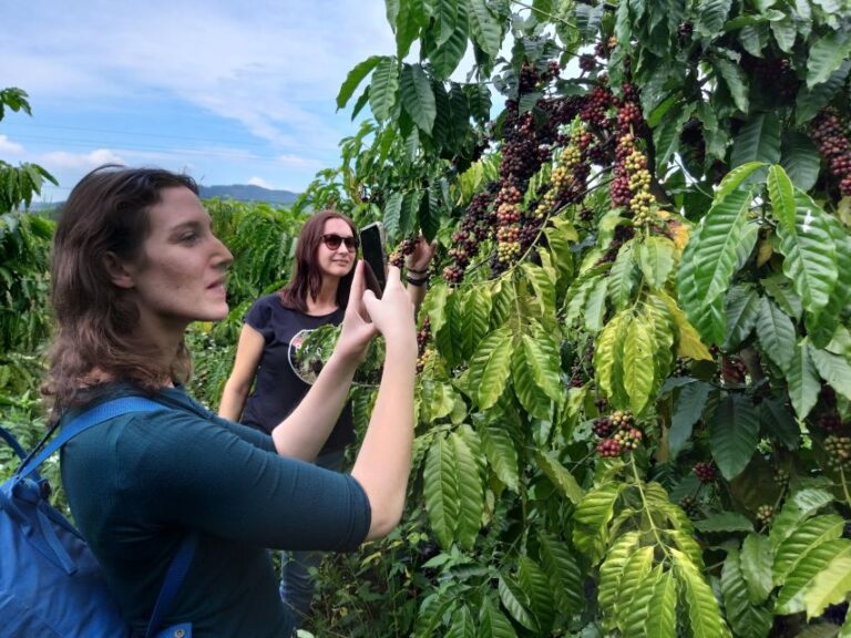 Coffee – Wine – Tea Da Lats Agricultural Treasures Tour