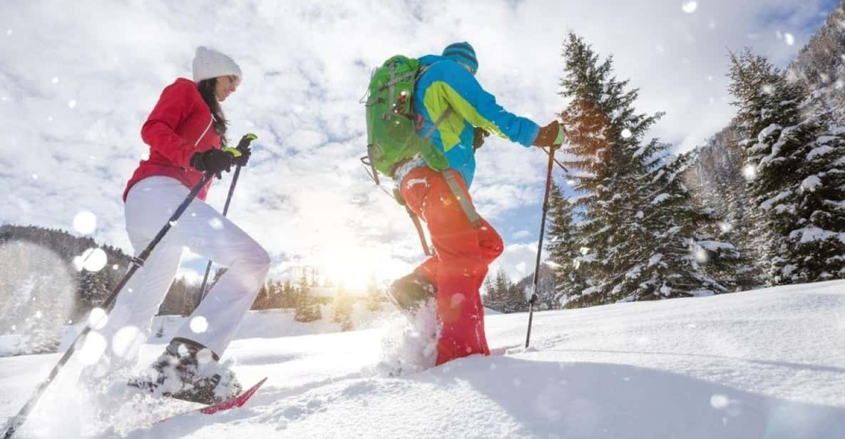 Colorado Backcountry: Guided Snowshoe Tour - Tour Overview