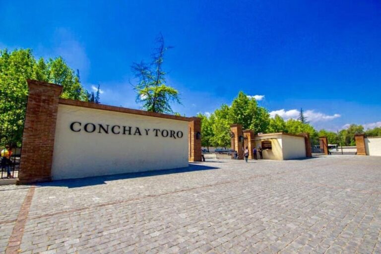 Concha Y Toro Wine Tour