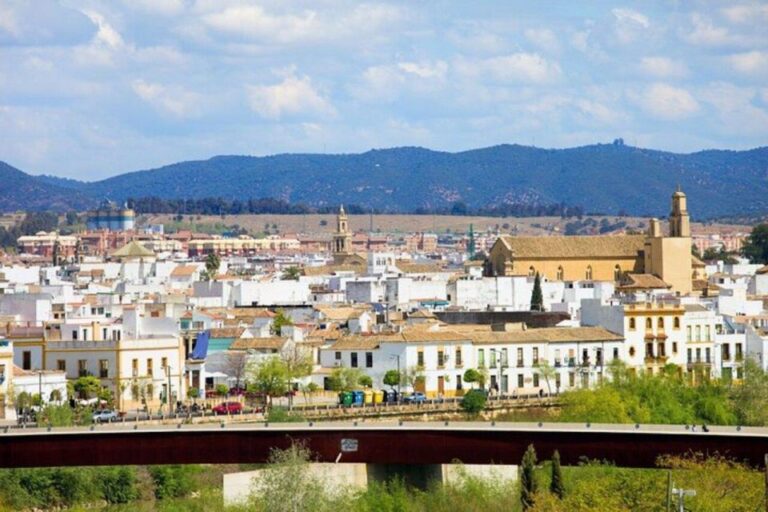 Cordoba : Patios Private Walking Tour