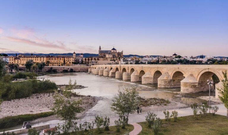 Córdoba: Private Tour With Lunch