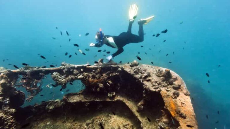 Coron Reef and Wrecks Tour (Private Tour)