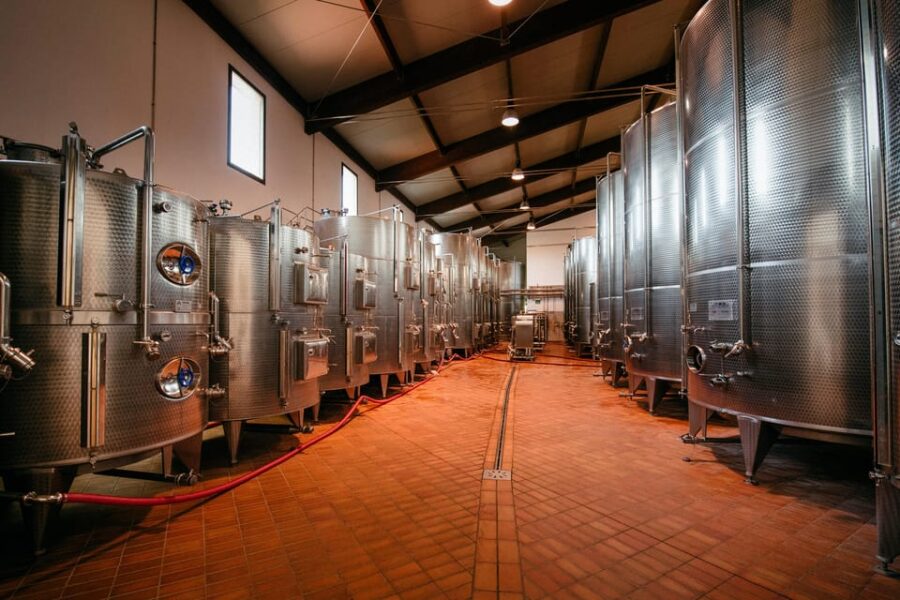 COTARELLA FAMILY, NEAR ORVIETO WINE TASTE AND VISIT