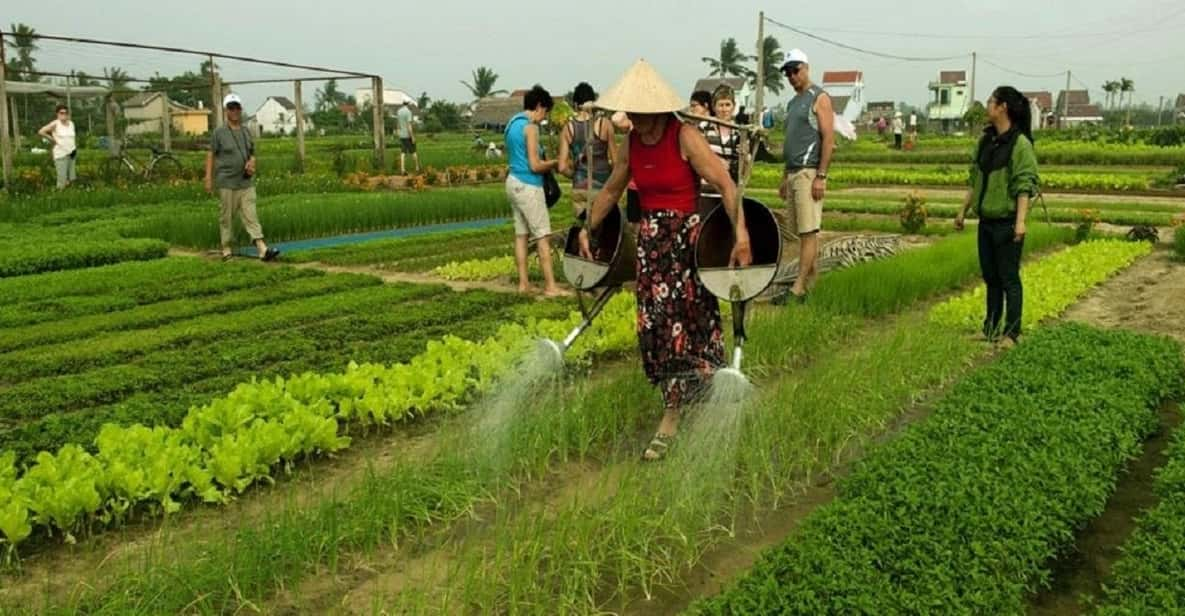 Countryside Biking -Farming -Market -Cooking Class In Hoi An - Overview of the Experience