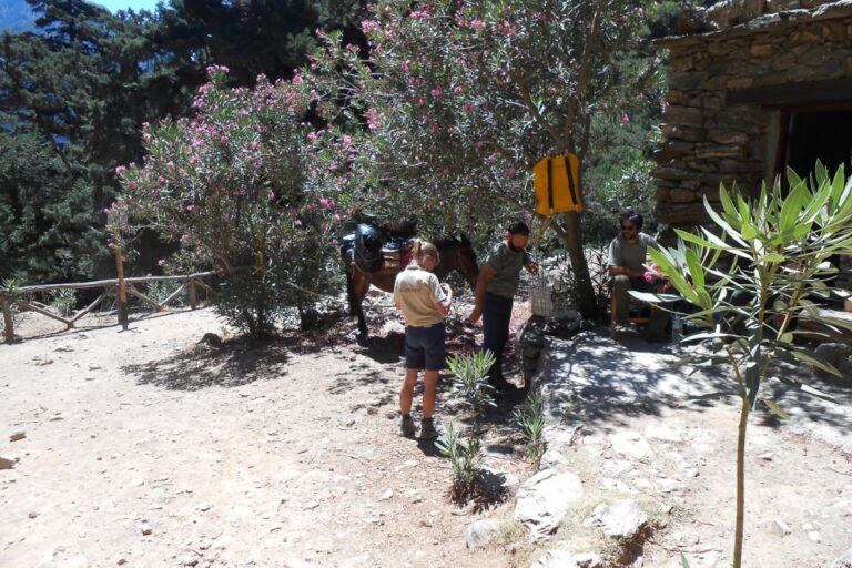 Crete: Samaria Gorge Hiking With Transfer and Expert Escort