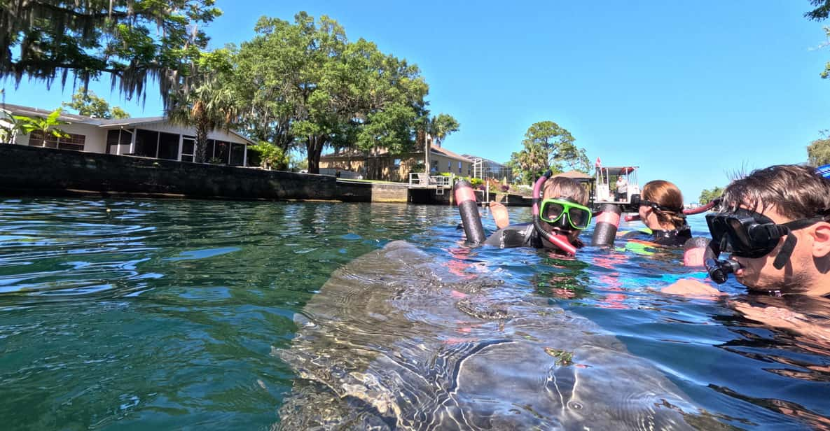 Crystal River: Guided Manatee Snorkeling Tour - Tour Overview and Pricing