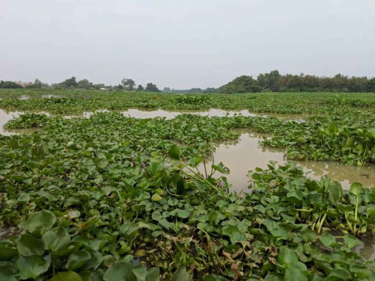 Cu Chi Tunnels & Mekong Delta Group Tour Full Day