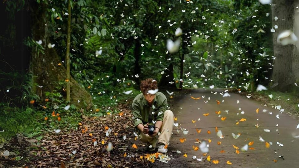 Cuc Phuong National Park Group Day Tour In Ninh Binh - Tour Overview and Pricing