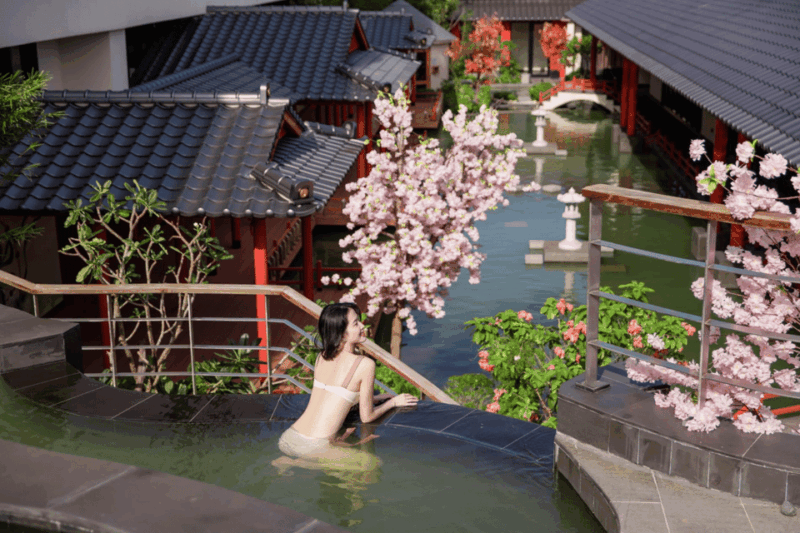 Da Nang: Mikazuki Water Park 365 With Onsen E-Ticket - Water Park Attractions