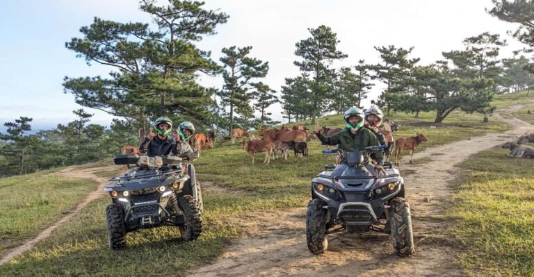 Dalat ATV Discovery: Highland Adventure on Scenic Trails