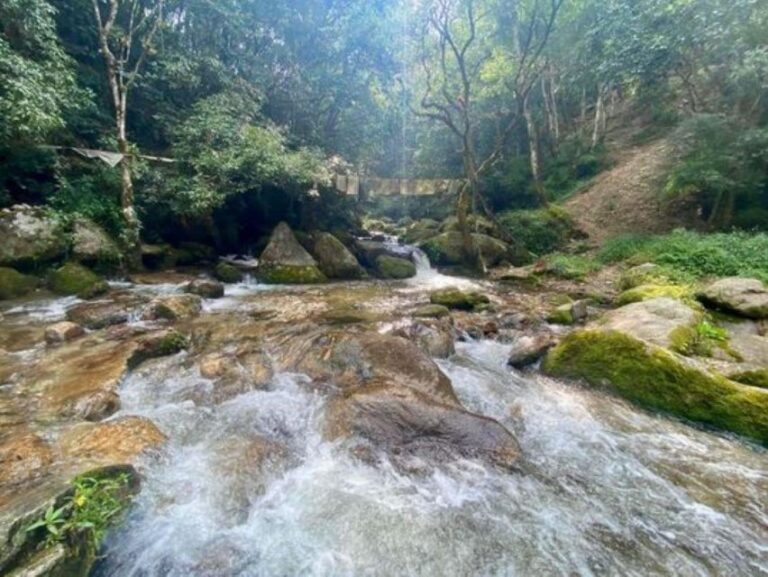 Day Hike to Shivapuri National Park From Kathmandu