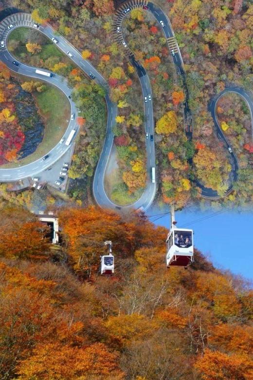 Day Tour Visit to Nikko Toshugo From Tokyo - Itinerary Highlights