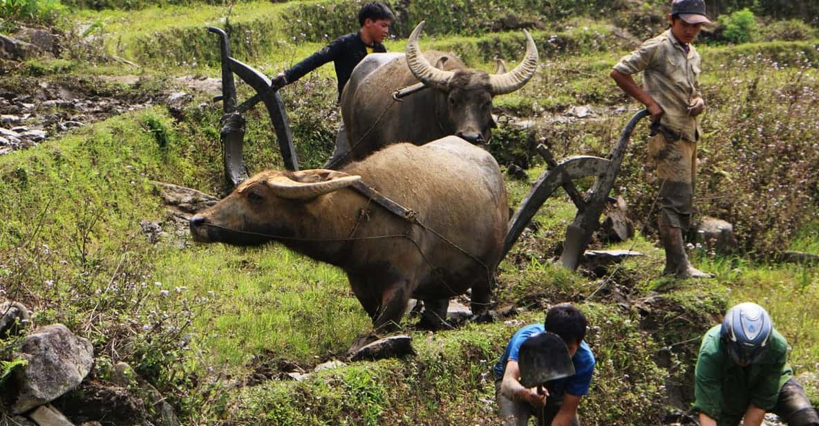 Day Trek Adventure With Local Guides - Tour Overview and Pricing