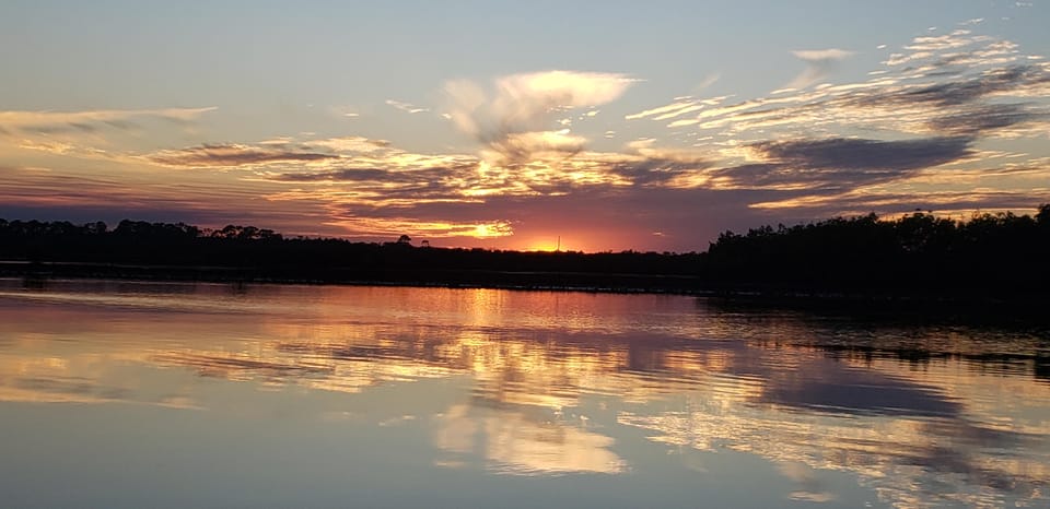 Daytona/New Smyrna Beach: Unforgettable Kayak Wildlife Tours - Kayak Tour Experience Overview