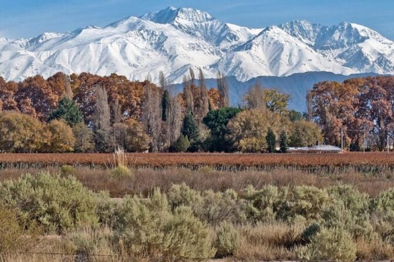 Daytour to Mendoza Wineries