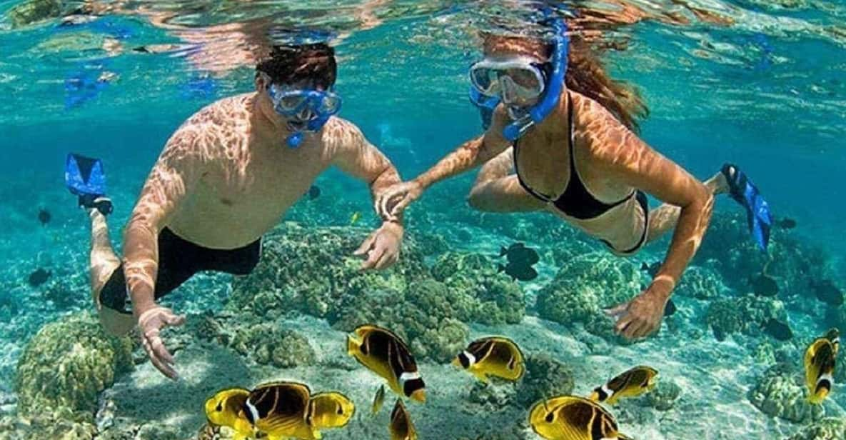 Deluxe Ocean Tour Snorkeling & BBQ & Mud Bath - Tour Overview and Pricing