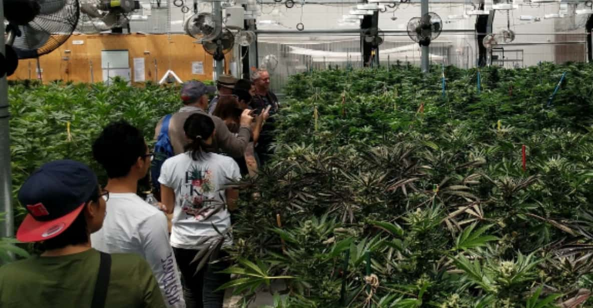 Denver: Buds & Brews Cannabis Grow Tour and Brewery Visit - Booking and Payments